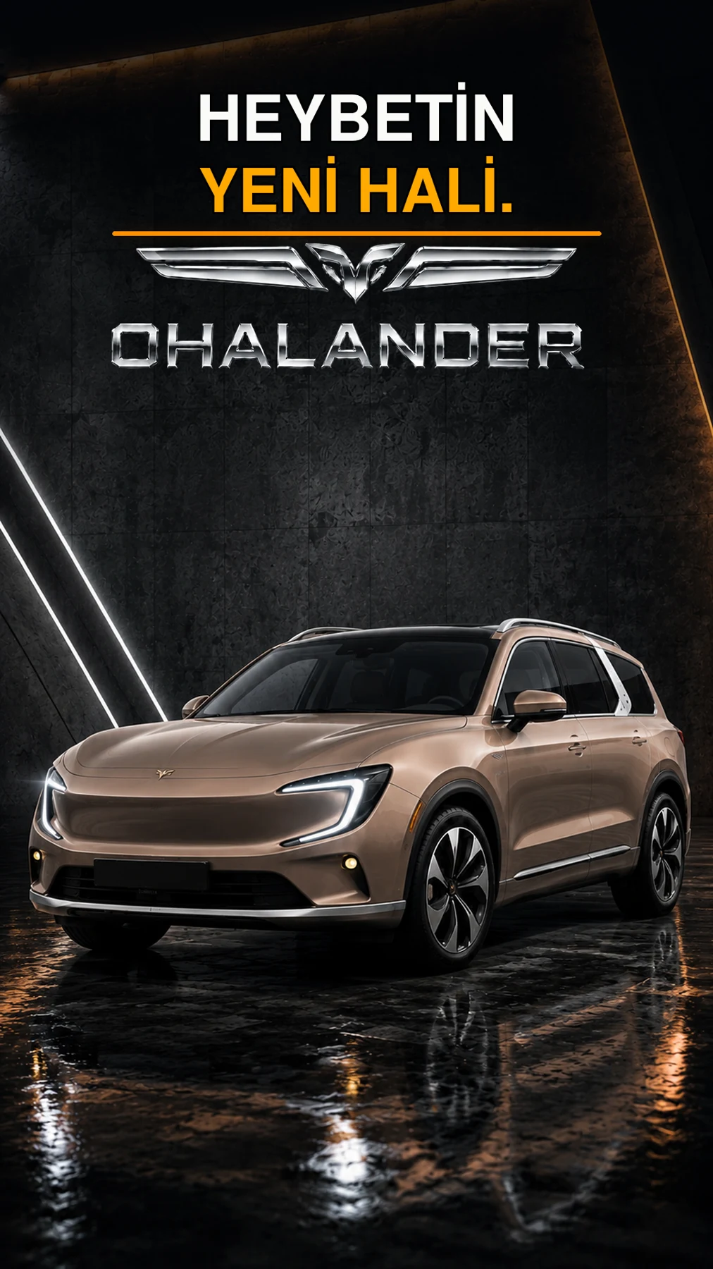 Ohalander — Billboard — kare 4